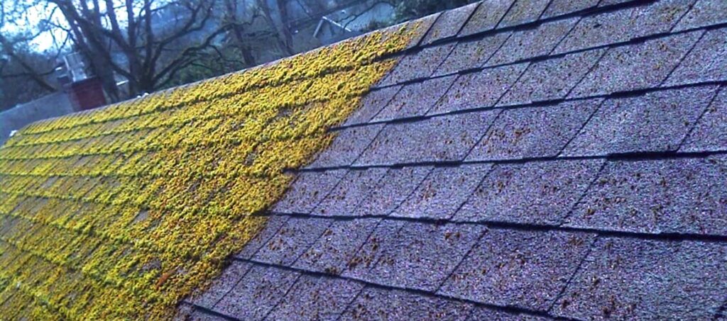 Crosby roof cleaning